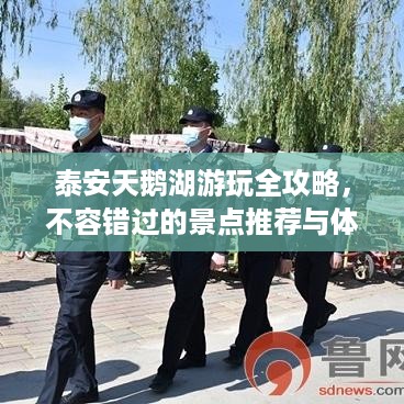 泰安天鹅湖游玩全攻略，不容错过的景点推荐与体验！