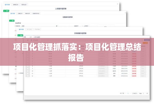 项目化管理抓落实：项目化管理总结报告 