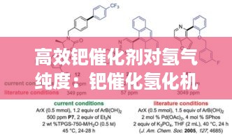 高效钯催化剂对氢气纯度：钯催化氢化机理 