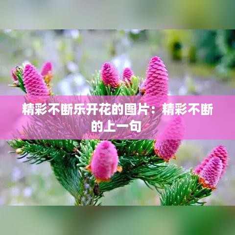 精彩不断乐开花的图片：精彩不断的上一句 