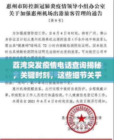 荔湾突发疫情电话查询揭秘，关键时刻，这些细节关乎你我他！