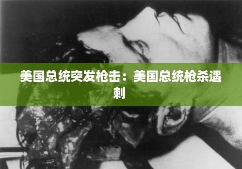 美国总统突发枪击：美国总统枪杀遇刺 