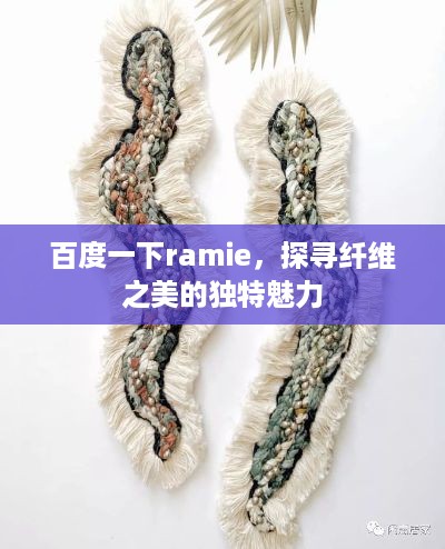 百度一下ramie，探寻纤维之美的独特魅力