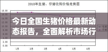 今日全国生猪价格最新动态报告，全面解析市场行情