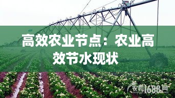 高效农业节点：农业高效节水现状 