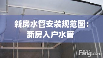 2025年1月26日 第3页