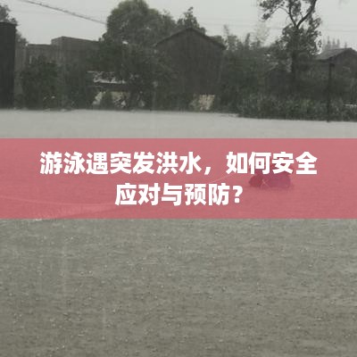 游泳遇突发洪水，如何安全应对与预防？