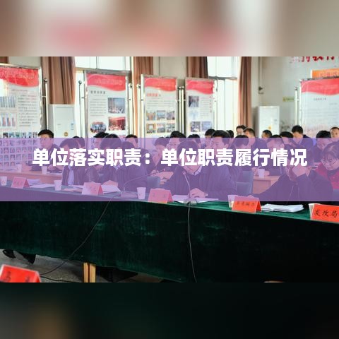 单位落实职责：单位职责履行情况 