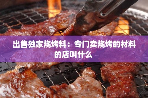 出售独家烧烤料：专门卖烧烤的材料的店叫什么 