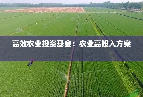 高效农业投资基金：农业高投入方案 