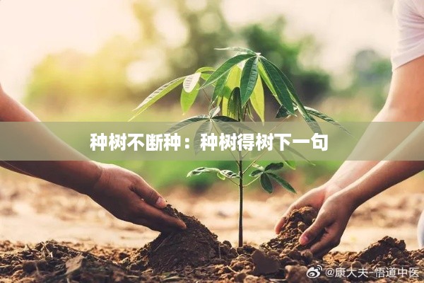 种树不断种：种树得树下一句 