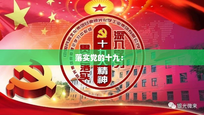 落实党的十九： 