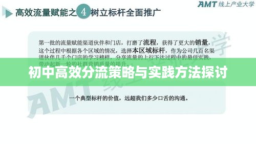 初中高效分流策略与实践方法探讨