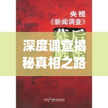 深度调查揭秘真相之路，揭示复杂事件的真相报道