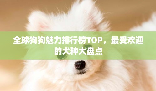 全球狗狗魅力排行榜TOP，最受欢迎的犬种大盘点