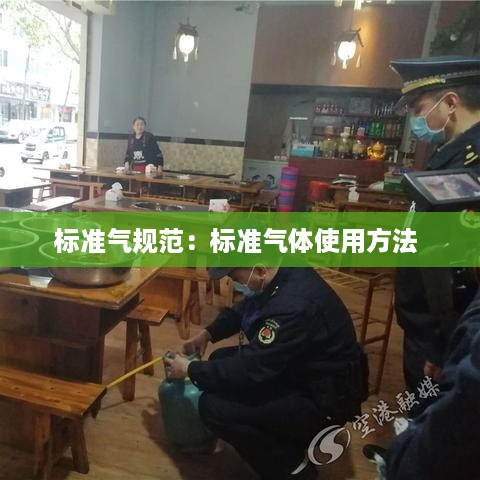 标准气规范：标准气体使用方法 