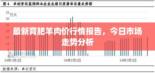 最新育肥羊肉价行情报告，今日市场走势分析