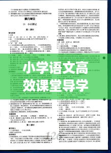 小学语文高效课堂导学案：小学生语文导学案 