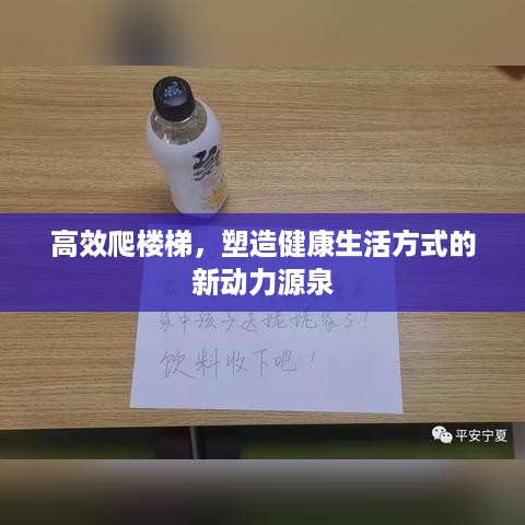 高效爬楼梯，塑造健康生活方式的新动力源泉