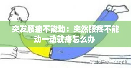 突发腰痛不能动：突然腰疼不能动一动就疼怎么办 