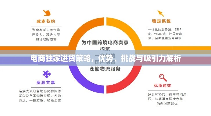 电商独家进货策略，优势、挑战与吸引力解析