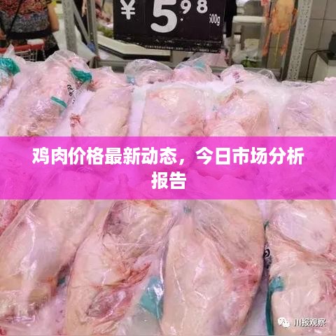 鸡肉价格最新动态，今日市场分析报告