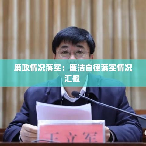 廉政情况落实：廉洁自律落实情况汇报 