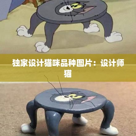 独家设计猫咪品种图片：设计师 猫 