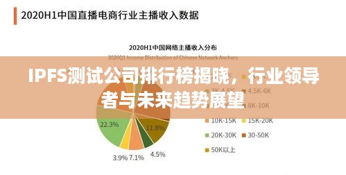 IPFS测试公司排行榜揭晓，行业领导者与未来趋势展望