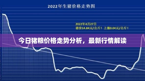 今日猪粮价格走势分析，最新行情解读