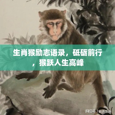 生肖猴励志语录，砥砺前行，猴跃人生高峰