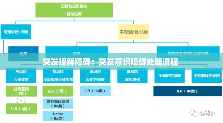 突发理解障碍：突发意识障碍处理流程 