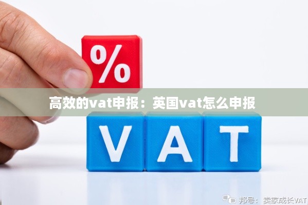 高效的vat申报：英国vat怎么申报 