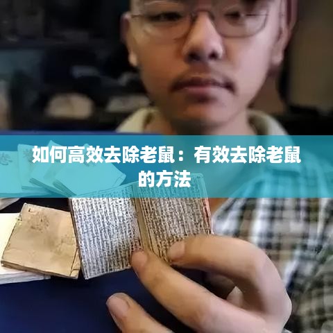 如何高效去除老鼠：有效去除老鼠的方法 