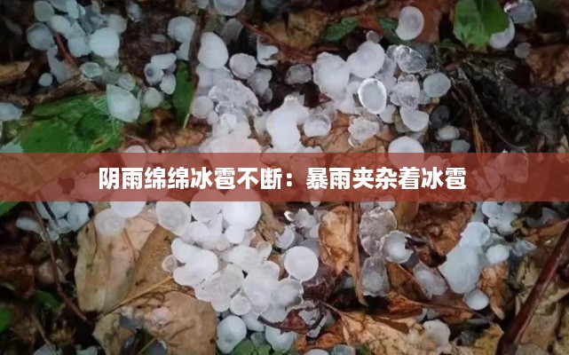 阴雨绵绵冰雹不断：暴雨夹杂着冰雹 