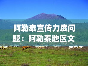 阿勒泰宣传力度问题：阿勒泰地区文化 