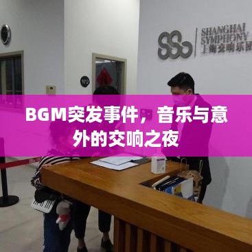 BGM突发事件，音乐与意外的交响之夜