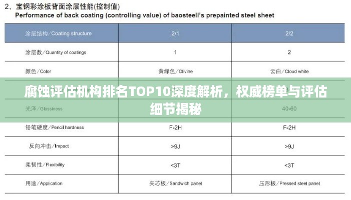 腐蚀评估机构排名TOP10深度解析，权威榜单与评估细节揭秘