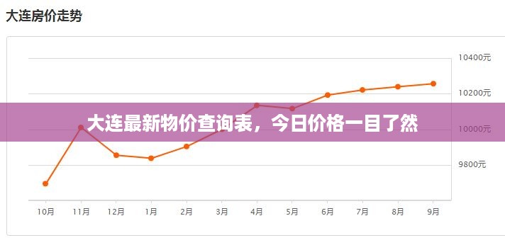 大连最新物价查询表，今日价格一目了然