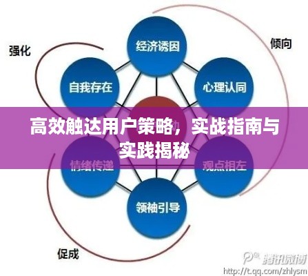 高效触达用户策略，实战指南与实践揭秘