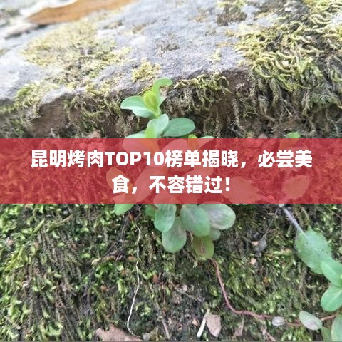 昆明烤肉TOP10榜单揭晓，必尝美食，不容错过！