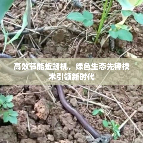 高效节能蚯蚓机，绿色生态先锋技术引领新时代