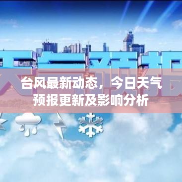 台风最新动态，今日天气预报更新及影响分析