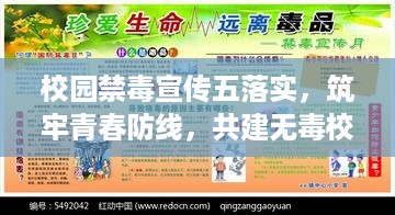 校园禁毒宣传五落实，筑牢青春防线，共建无毒校园环境