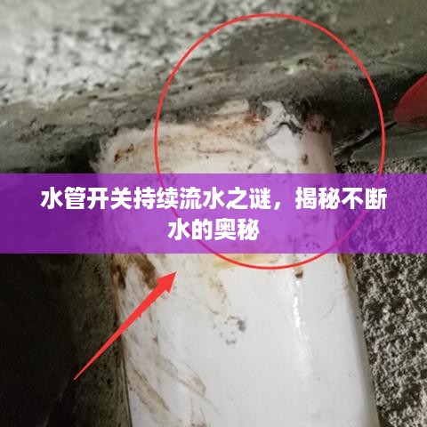 水管开关持续流水之谜，揭秘不断水的奥秘