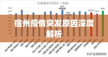 宿州疫情突发原因深度解析