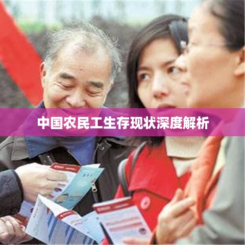 中国农民工生存现状深度解析