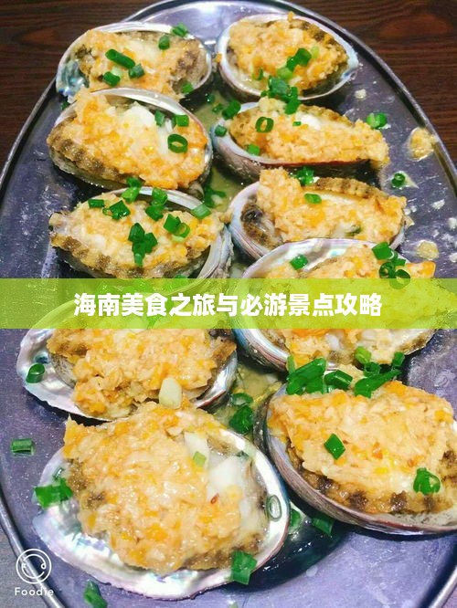 海南美食之旅与必游景点攻略