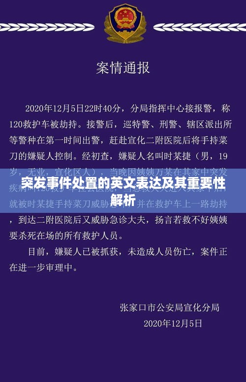 突发事件处置的英文表达及其重要性解析