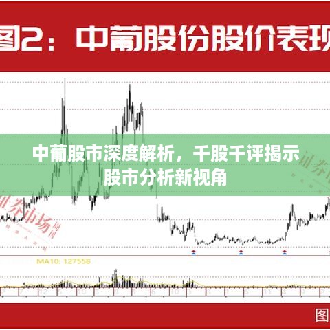 中葡股市深度解析，千股千评揭示股市分析新视角